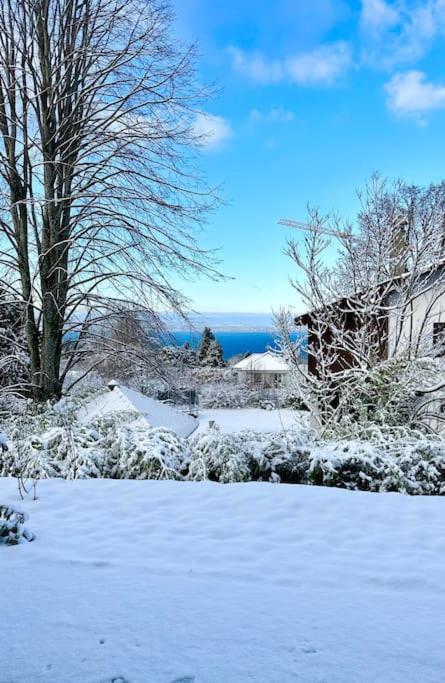 Royal Park Lake View Apartment Evian-les-Bains Luaran gambar